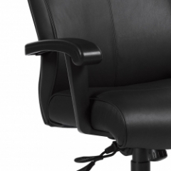 Standard Black (BK) Arm Frame