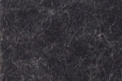 SS04-2