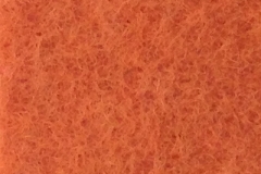 SS06-2