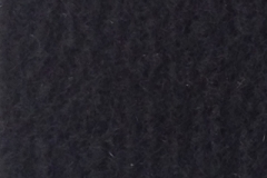 SS09-2