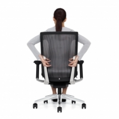 Lumbar Support