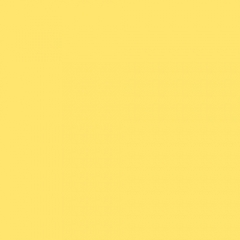 Daffodil Day (DFD)