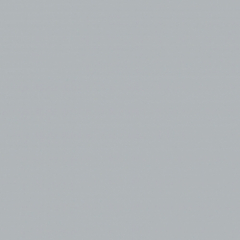 Fog (FG)