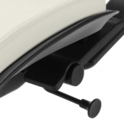 Back Tilt Locking Mechanism