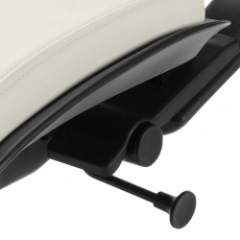 Back Tilt Locking Mechanism
