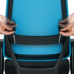Height Adjustable Lumbar Support