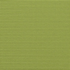 Lime (VU21)
