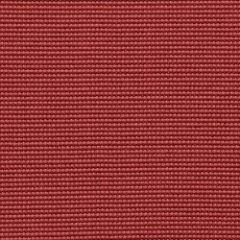 Paprika (VU37)