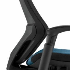 Lumbar Support