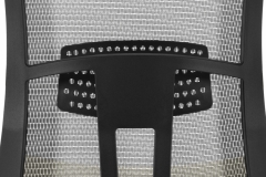 optional lumbar pad