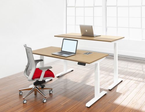 Standing + Height Adjustable