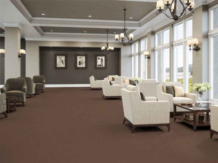 Accelerate flooring in a common area of the senior center. Tall windows on one side bring light in from outside.