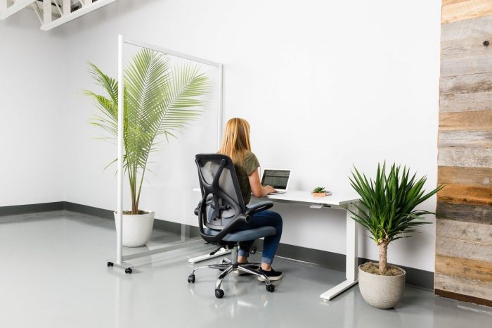 A single workstation with a Split model screen to the left. The woman is using a laptop, and a potted plant rests on the floor beside her.